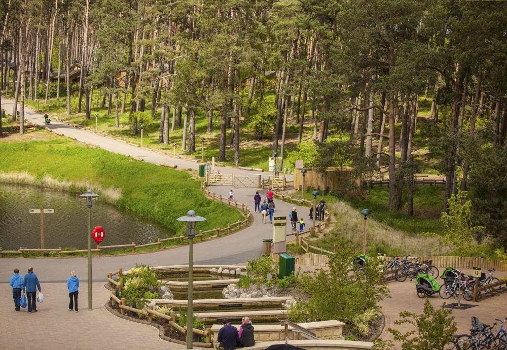 Stay at Center Parcs Whinfell Forest